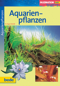 Aquarienpflanzen