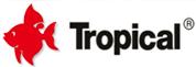 TROPICAL Logo